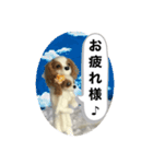ニードルフェルト犬（個別スタンプ：31）