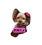 ゆうたん愛ちゃん（個別スタンプ：3）