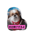 ゆうたん愛ちゃん（個別スタンプ：4）