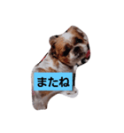 ゆうたん愛ちゃん（個別スタンプ：7）
