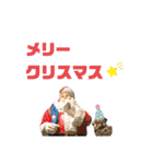 シーズーのダッシュ（個別スタンプ：40）