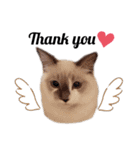 xxthoutherxx（個別スタンプ：1）