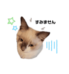 xxthoutherxx（個別スタンプ：2）