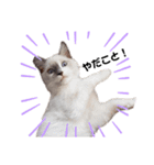 xxthoutherxx（個別スタンプ：3）