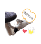xxthoutherxx（個別スタンプ：4）