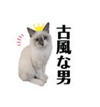 xxthoutherxx（個別スタンプ：6）