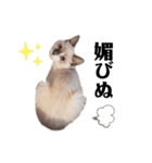 xxthoutherxx（個別スタンプ：7）