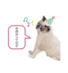 xxthoutherxx（個別スタンプ：8）