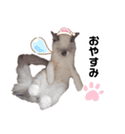 xxthoutherxx（個別スタンプ：9）