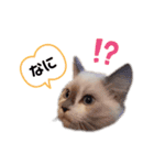 xxthoutherxx（個別スタンプ：10）