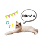 xxthoutherxx（個別スタンプ：11）