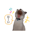 xxthoutherxx（個別スタンプ：12）