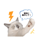 xxthoutherxx（個別スタンプ：13）