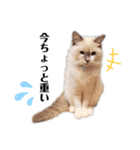 xxthoutherxx（個別スタンプ：14）