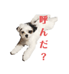 くるみ☆スタンプ2（個別スタンプ：2）
