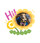 kid luck sen ryou（個別スタンプ：2）