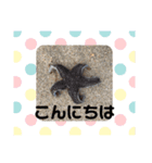 kid luck sen ryou（個別スタンプ：6）