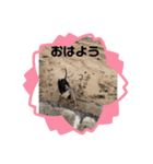 kid luck sen ryou（個別スタンプ：8）