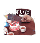 ろいちゃんU・x・U（個別スタンプ：4）