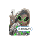 にゃーんちゅーだよぽっぴょん！（個別スタンプ：13）