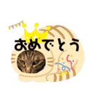 我が家のわんにゃんズスタンプ（個別スタンプ：19）