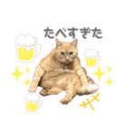 我が家のわんにゃんズスタンプ（個別スタンプ：32）