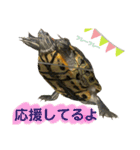 かめきちのつぶやき No. 2（個別スタンプ：4）