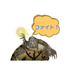 かめきちのつぶやき No. 2（個別スタンプ：12）