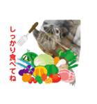 かめきちのつぶやき No. 2（個別スタンプ：19）