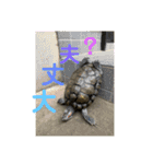 かめきちのつぶやき No. 2（個別スタンプ：20）