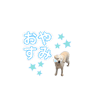 にちゃんのくちゃん（個別スタンプ：5）
