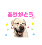 にちゃんのくちゃん（個別スタンプ：7）