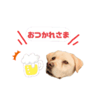 にちゃんのくちゃん（個別スタンプ：9）