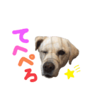 にちゃんのくちゃん（個別スタンプ：13）