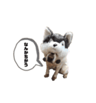 にちゃんのくちゃん（個別スタンプ：26）