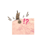 《実写》もふもふ猫のハリー。②（個別スタンプ：15）