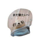 パンダとおばけ（個別スタンプ：1）