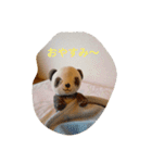 パンダとおばけ（個別スタンプ：2）