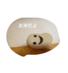 パンダとおばけ（個別スタンプ：7）