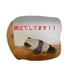 パンダとおばけ（個別スタンプ：8）