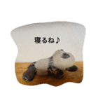 パンダとおばけ（個別スタンプ：9）
