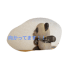 パンダとおばけ（個別スタンプ：12）