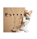おとまるといっしょ（個別スタンプ：4）
