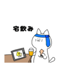 白ねことひよこ（個別スタンプ：40）