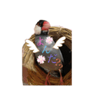 桜文鳥と白文鳥のスタンプ②（個別スタンプ：13）