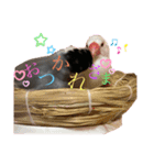 桜文鳥と白文鳥のスタンプ②（個別スタンプ：14）