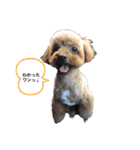 イヴりん♡♡（個別スタンプ：3）