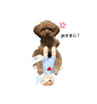イヴりん♡♡（個別スタンプ：5）
