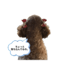 イヴりん♡♡（個別スタンプ：9）