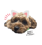 イヴりん♡♡（個別スタンプ：10）